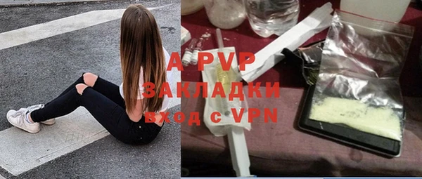 тгк Белокуриха