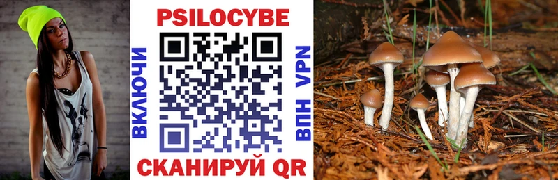 Галлюциногенные грибы MAGIC MUSHROOMS  MEGA как зайти  Баксан 